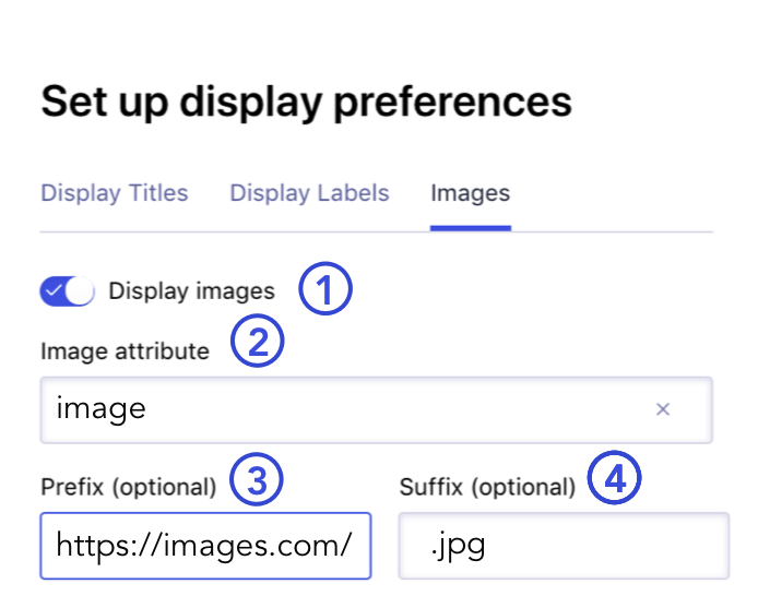 Dashboard display preferences tab images